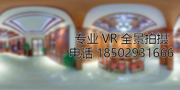 天镇房地产样板间VR全景拍摄